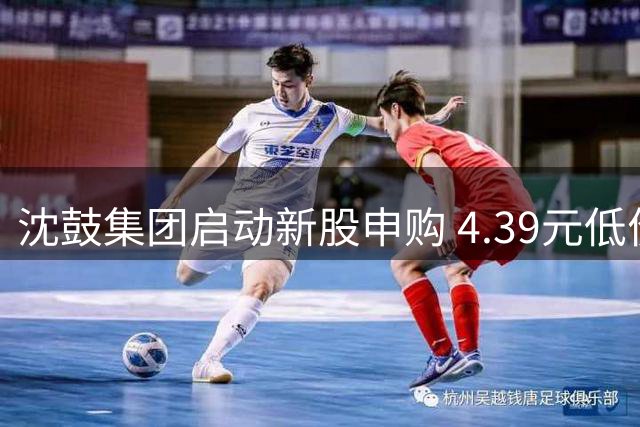 沈鼓集团启动新股申购 4.39元低价引投资者关注